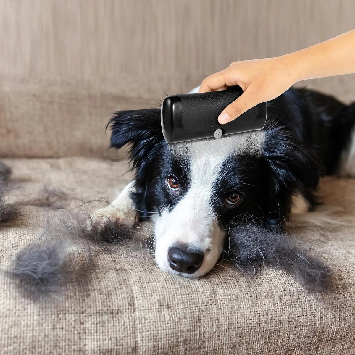 Professional Pet Deshedding Brush – Ergonomic Dog Hair Remover
