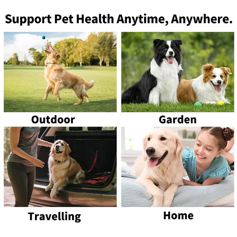 Pet's World Disposable Pet Finger Toothbrush – Dog & Cat Dental Wipes
