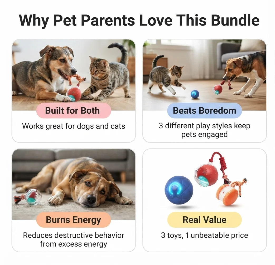 Buy 2 (Rolling Ball + Rechargeable Bouncing Ball), Get the Interactive Ball FREE | For Dogs & Cats