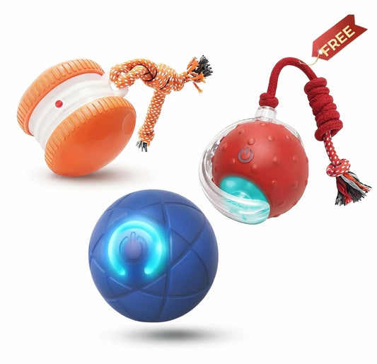 Buy 2 (Rolling Ball + Rechargeable Bouncing Ball), Get the Interactive Ball FREE | For Dogs & Cats