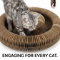 Pet's World Magic Cat Scratcher Board – Interactive Claw Grinding & Play Toy