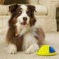 Dog Chew and Tug Toys Collection