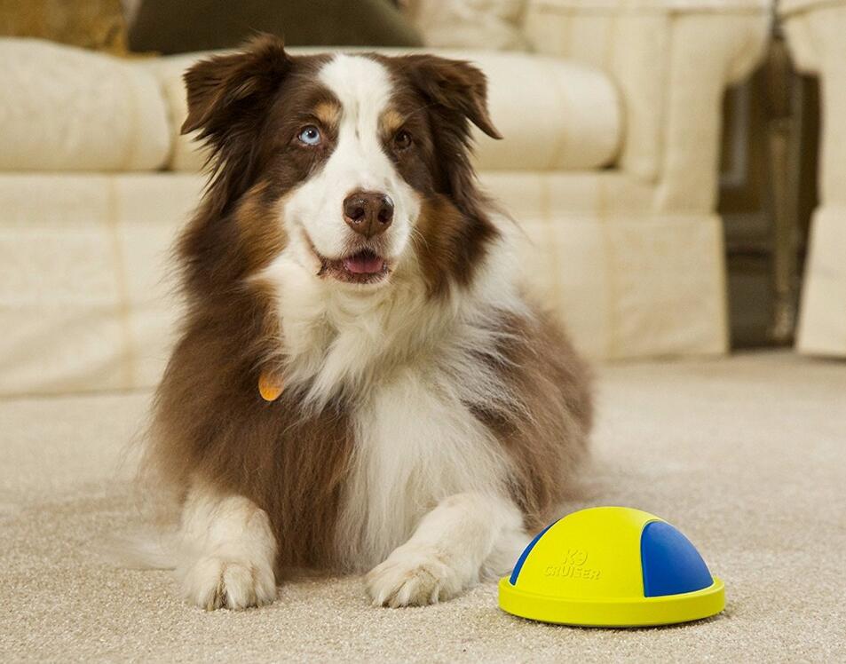 Dog Chew and Tug Toys Collection