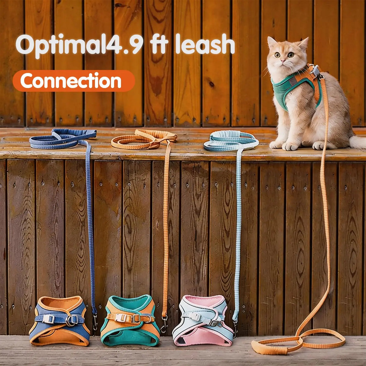 Escape-Proof Cat Harness & Leash Set – Soft Step-In Vest for Cats & Kittens