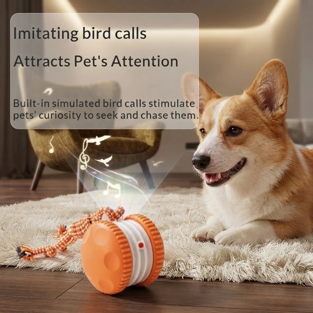 Buy 2 (Rolling Ball + Rechargeable Bouncing Ball), Get the Interactive Ball FREE | For Dogs & Cats