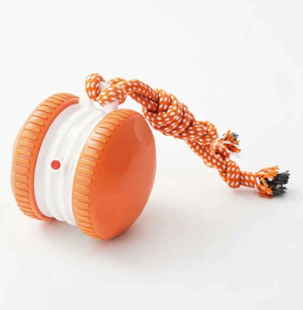 Buy 2 (Rolling Ball + Rechargeable Bouncing Ball), Get the Interactive Ball FREE | For Dogs & Cats