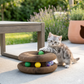 Pet's World Magic Cat Scratcher Board – Interactive Claw Grinding & Play Toy