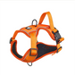 Pet's World Reflective Dog Harness