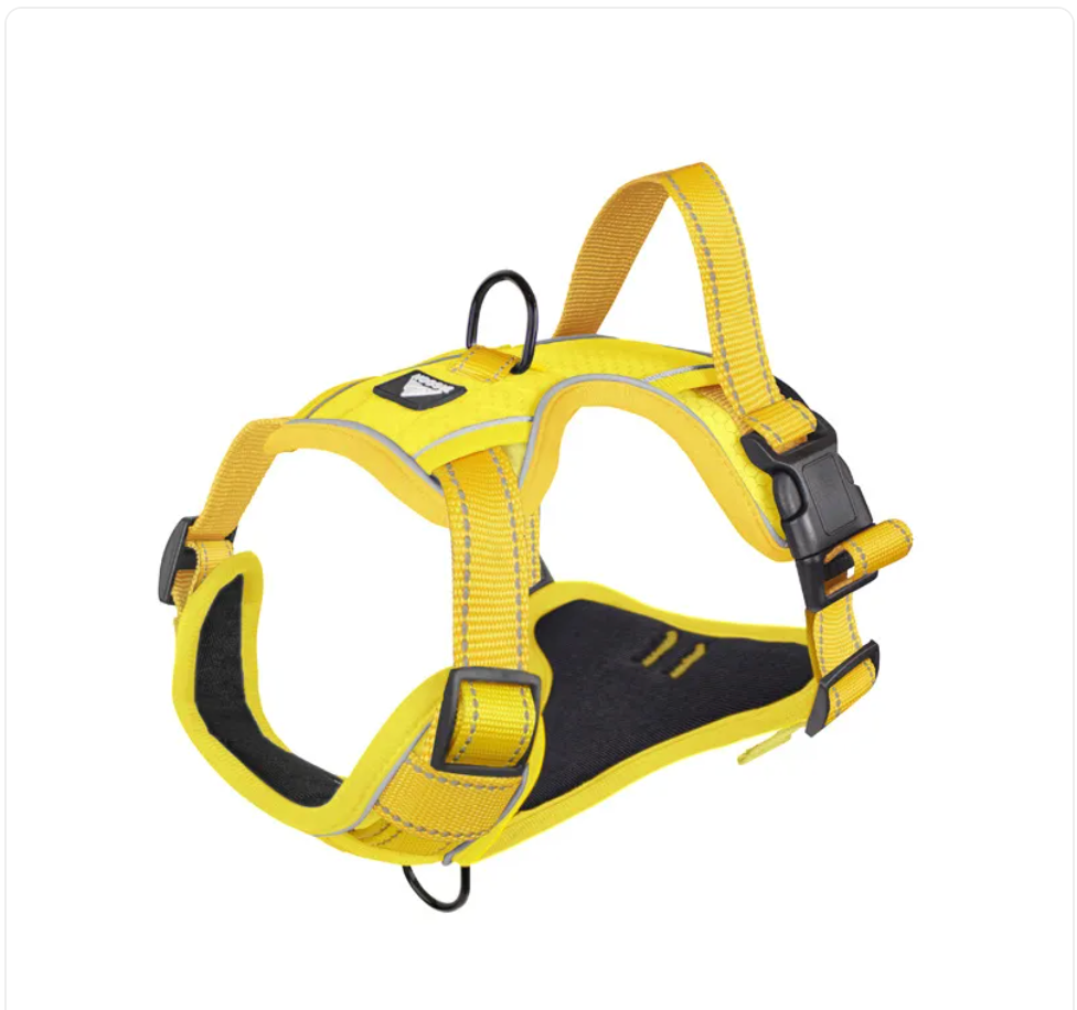 Pet's World Reflective Dog Harness