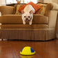 Dog Chew and Tug Toys Collection