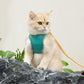 Escape-Proof Cat Harness & Leash Set – Soft Step-In Vest for Cats & Kittens