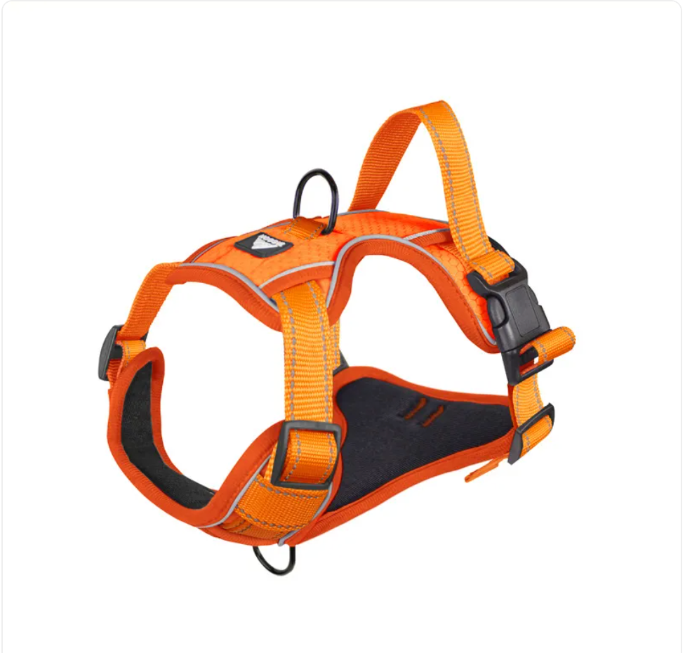 Pet's World Reflective Dog Harness