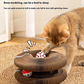Pet's World Magic Cat Scratcher Board – Interactive Claw Grinding & Play Toy
