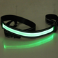 Fluorescent Dog Collar for Nighttime Safety