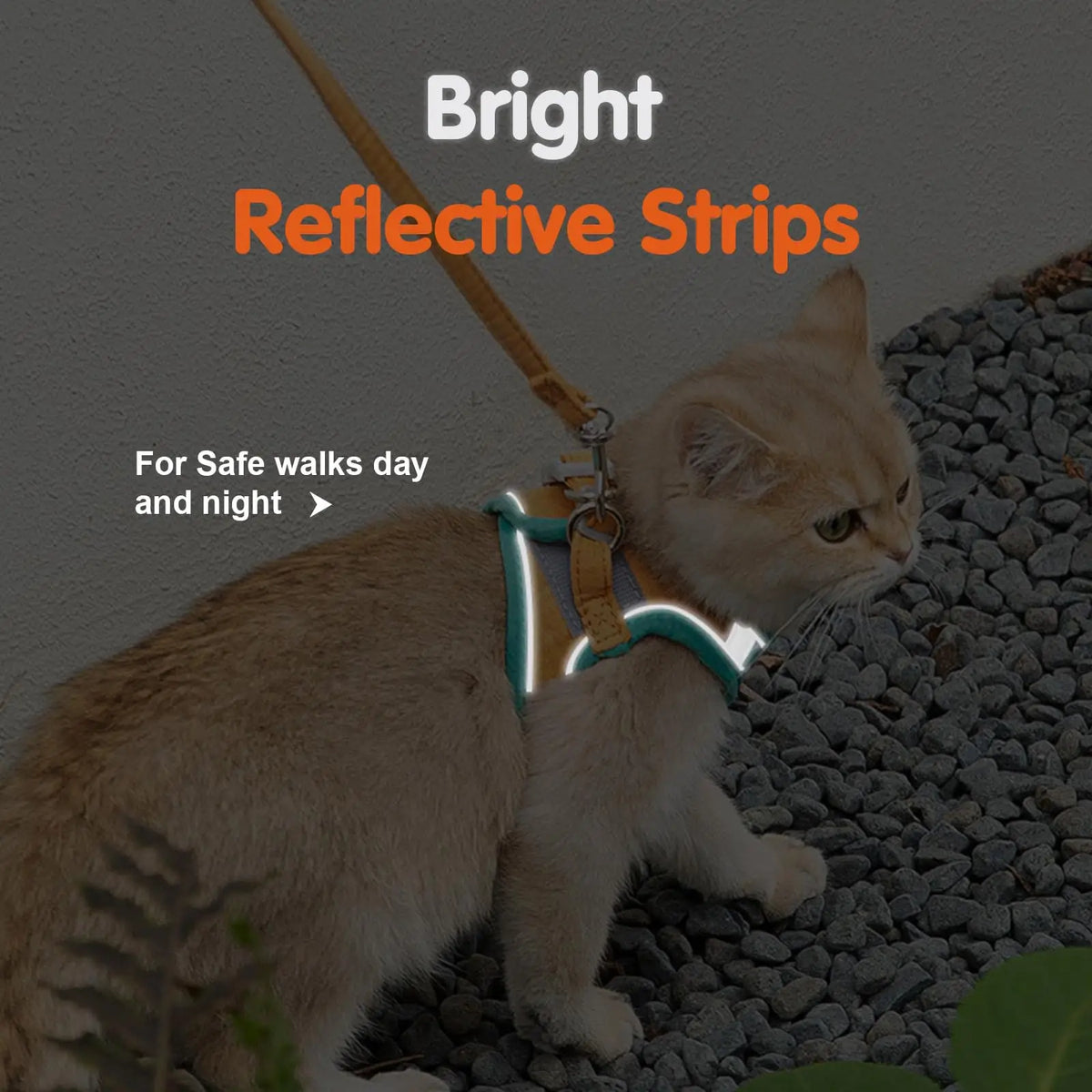 Escape-Proof Cat Harness & Leash Set – Soft Step-In Vest for Cats & Kittens