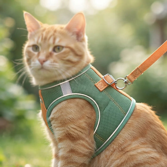 Escape-Proof Cat Harness & Leash Set – Soft Step-In Vest for Cats & Kittens