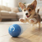 Smart Rechargeable Ball Toy for Dogs & Cats – Auto-Moving