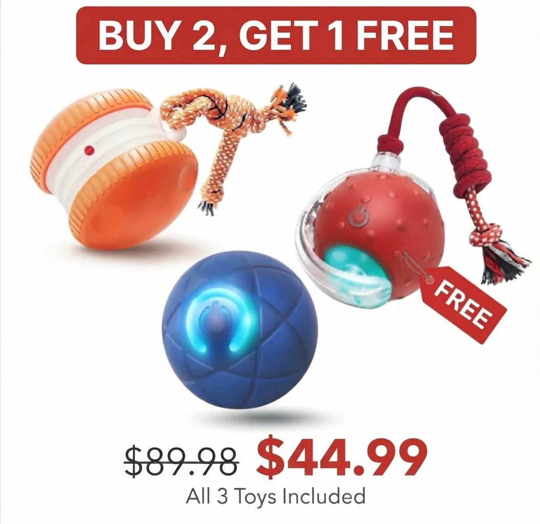 Buy 2 (Rolling Ball + Rechargeable Bouncing Ball), Get the Interactive Ball FREE | For Dogs & Cats