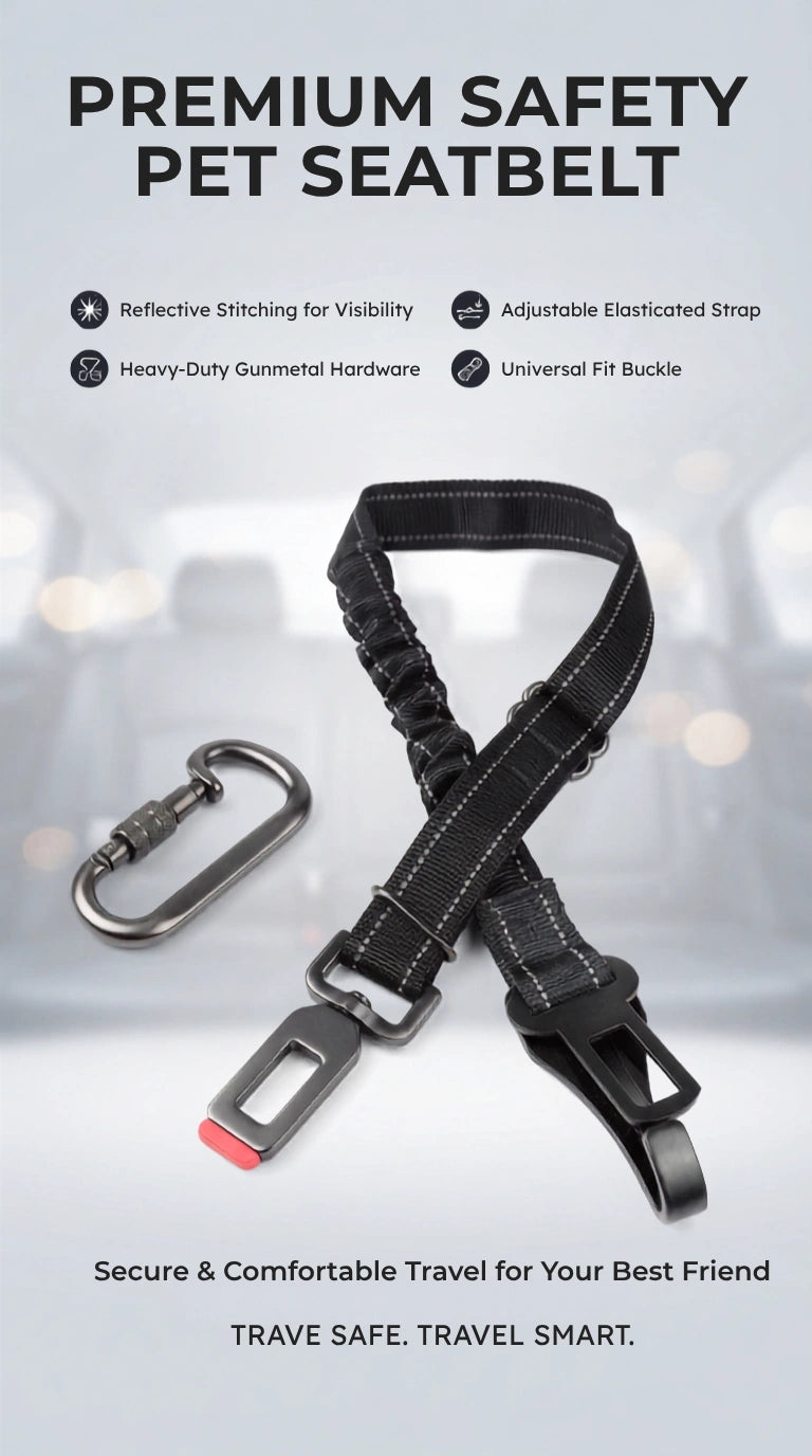 Dog Car Seat Belt – Keep Your Dog Safe & Calm on Every Ride