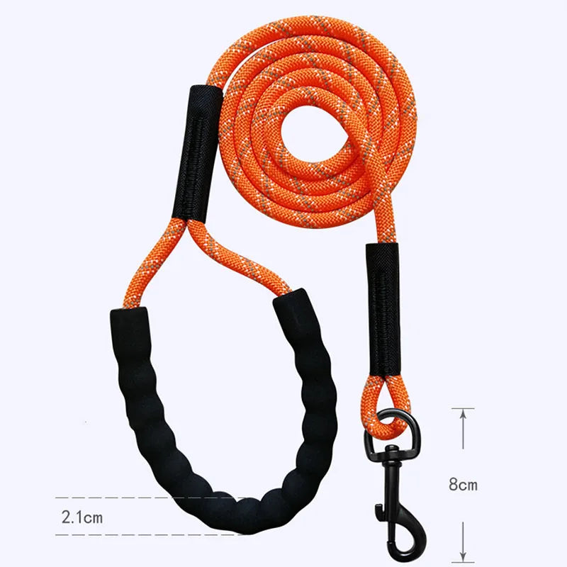 Pet's World Reflective Dog Training Leash – Long Lead for Recall & Hiking