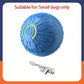 Pet's World Smart Rechargeable Ball Toy for Dogs & Cats – Auto-Moving