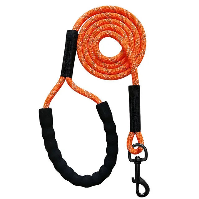Pet's World Reflective Dog Training Leash – Long Lead for Recall & Hiking