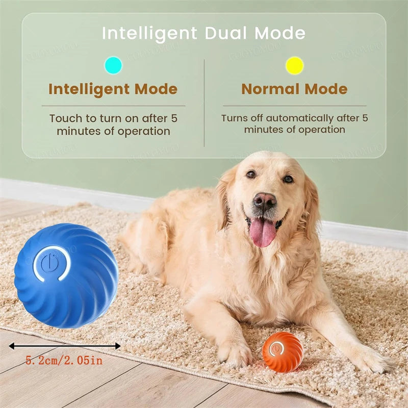 Pet's World Smart Rechargeable Ball Toy for Dogs & Cats – Auto-Moving
