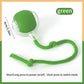 Pet's World Smart Rechargeable Ball Toy for Dogs & Cats – Auto-Moving