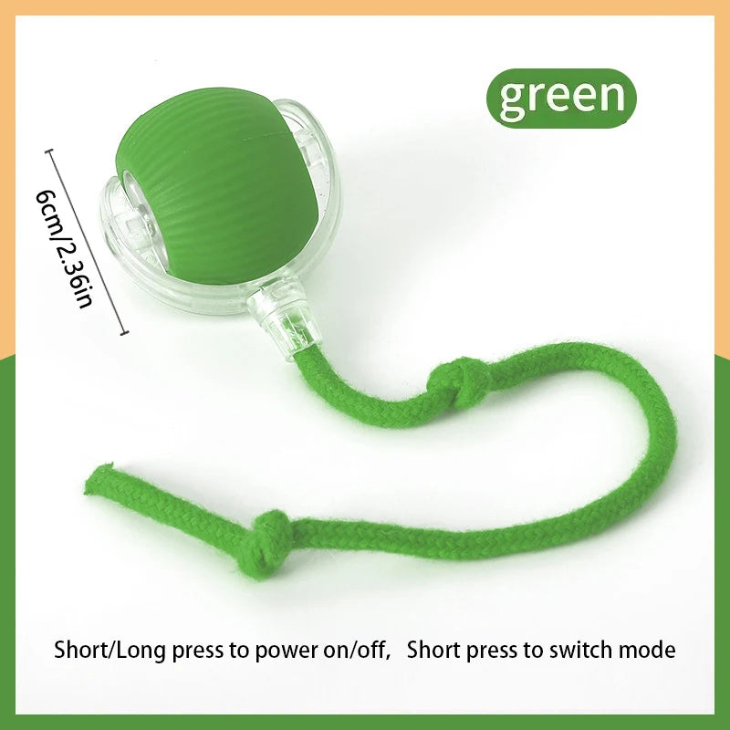 Pet's World Smart Rechargeable Ball Toy for Dogs & Cats – Auto-Moving