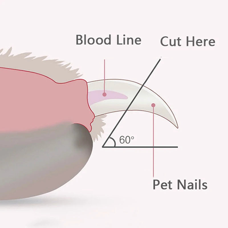 Pet's World LED Nail Clippers for Dogs & Cats – Safe Claw Trimmer