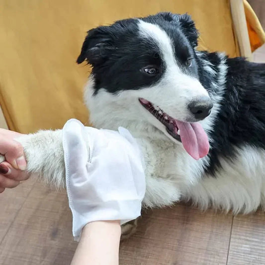 Pet's World Rinseless Pet Cleaning Gloves — Natural Deodorizing Wipes for Dogs & Cats