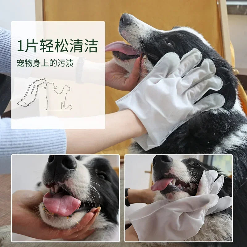 Pet's World Rinseless Pet Cleaning Gloves — Natural Deodorizing Wipes for Dogs & Cats