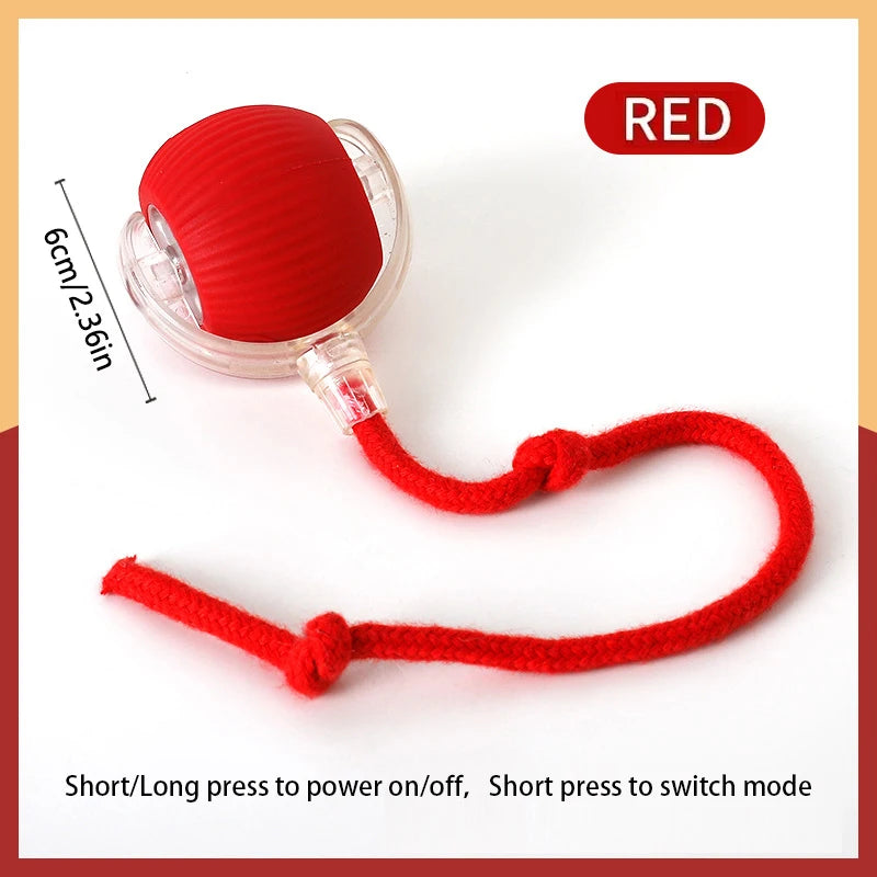 Pet's World Smart Rechargeable Ball Toy for Dogs & Cats – Auto-Moving