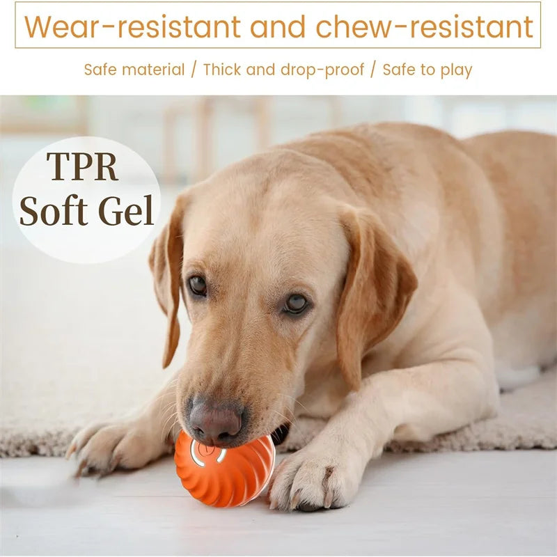 Pet's World Smart Rechargeable Ball Toy for Dogs & Cats – Auto-Moving