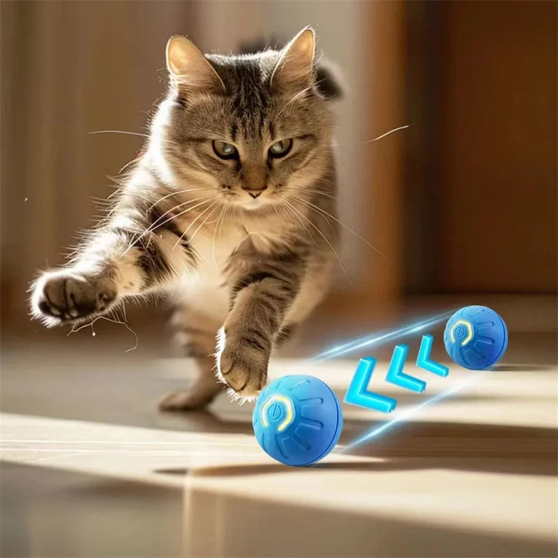 Pet's World Smart Rechargeable Ball Toy for Dogs & Cats – Auto-Moving
