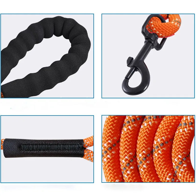 Pet's World Reflective Dog Training Leash – Long Lead for Recall & Hiking