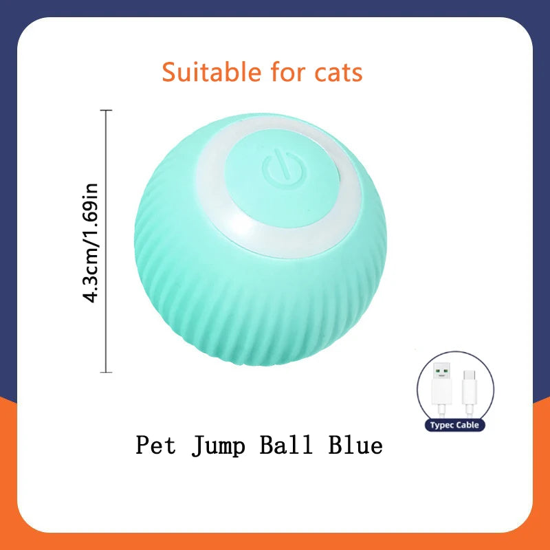 Pet's World Smart Rechargeable Ball Toy for Dogs & Cats – Auto-Moving