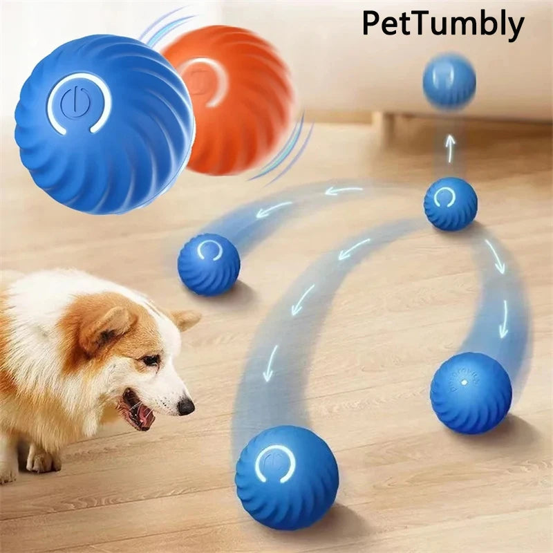 Pet's World Smart Rechargeable Ball Toy for Dogs & Cats – Auto-Moving