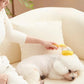 Pet's World Long Handle Pet Bathing Brush – Silicone Dog & Cat Comb
