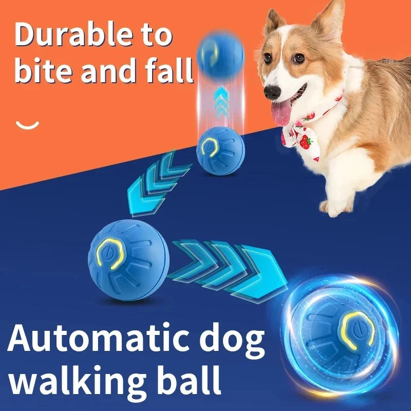 Pet's World Smart Rechargeable Ball Toy for Dogs & Cats – Auto-Moving