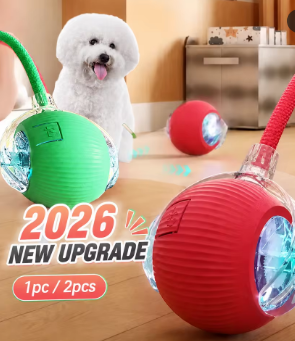 Dog Toys