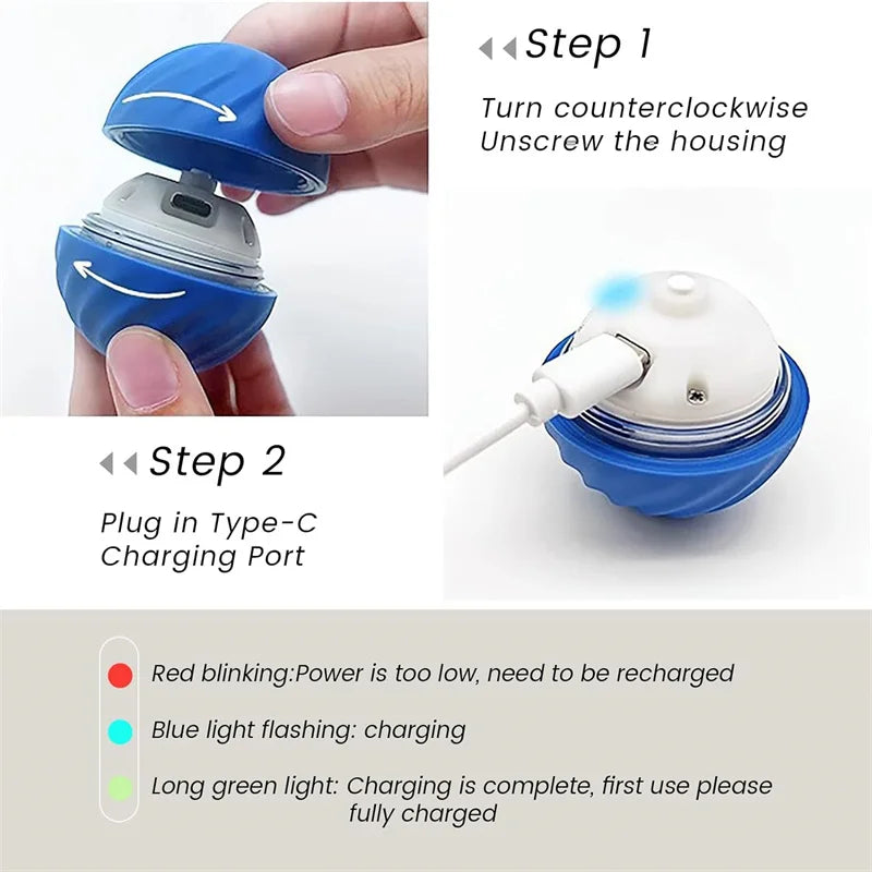 Pet's World Smart Rechargeable Ball Toy for Dogs & Cats – Auto-Moving