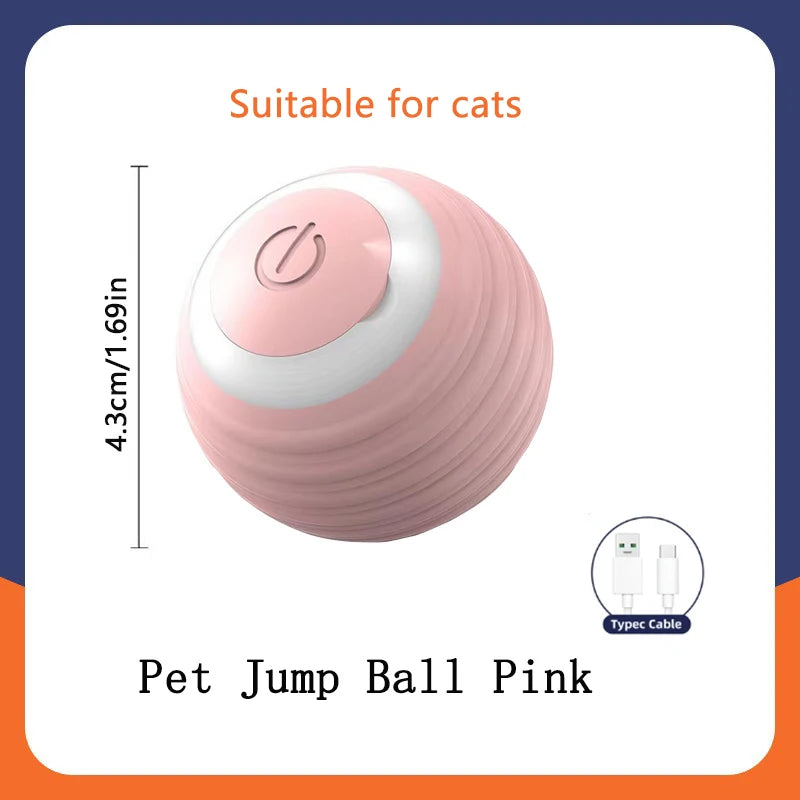 Pet's World Smart Rechargeable Ball Toy for Dogs & Cats – Auto-Moving