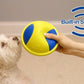Dog Chew and Tug Toys Collection