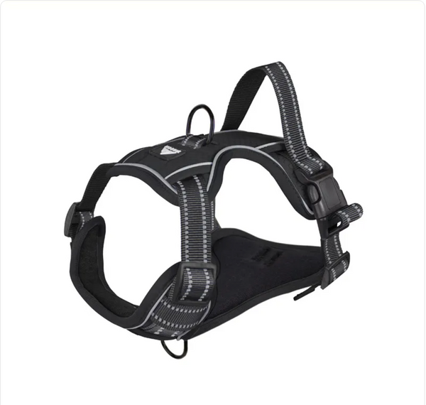 Pet's World Reflective Dog Harness with Leash