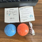 Pet's World Electric Jumping Ball – Automatic Light-Up Dog Toy