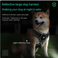 Pet's World Reflective Dog Harness