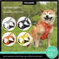Pet's World Reflective Dog Harness