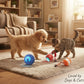 Buy 2 (Rolling Ball + Rechargeable Bouncing Ball), Get the Interactive Ball FREE | For Dogs & Cats