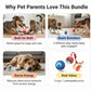 Buy 2 (Rolling Ball + Rechargeable Bouncing Ball), Get the Interactive Ball FREE | For Dogs & Cats